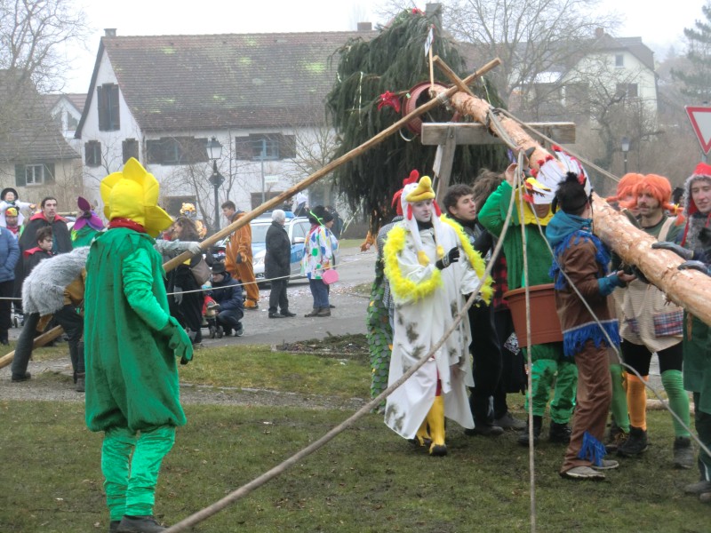 ../Images/2015-02-12_Grundele-Schmotziger-Dunnstig_269.jpg