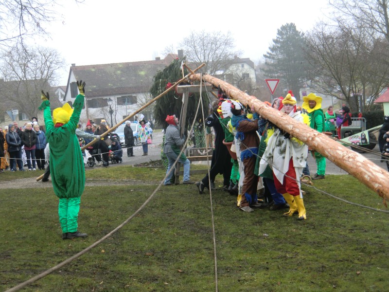 ../Images/2015-02-12_Grundele-Schmotziger-Dunnstig_270.jpg