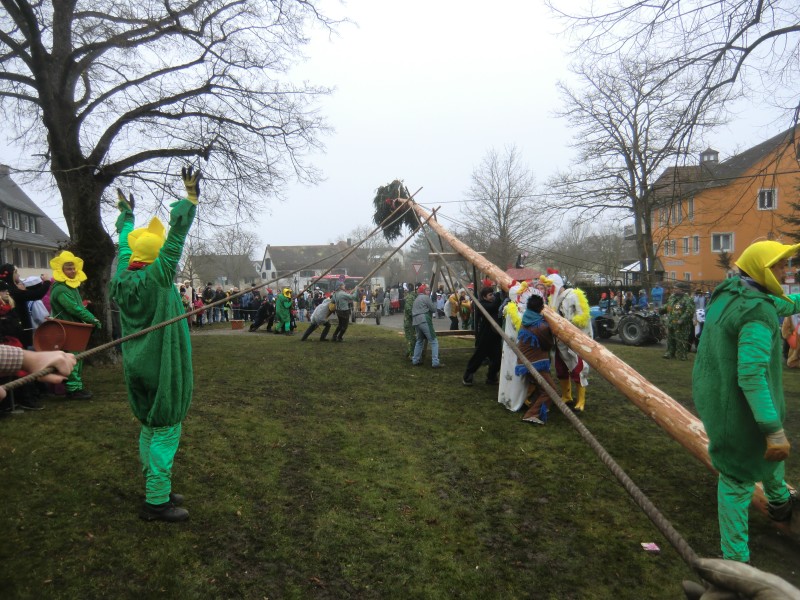 ../Images/2015-02-12_Grundele-Schmotziger-Dunnstig_276.jpg