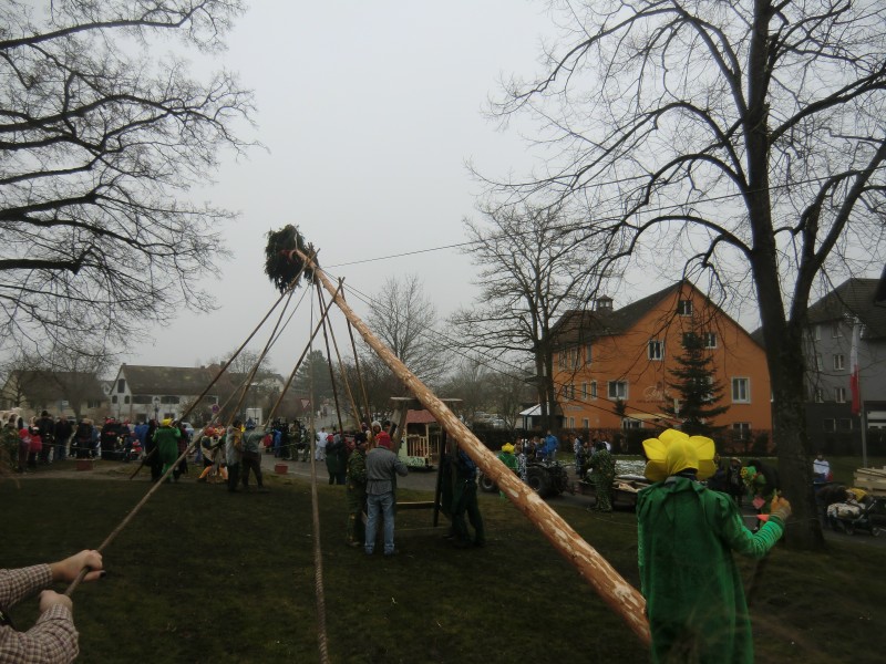 ../Images/2015-02-12_Grundele-Schmotziger-Dunnstig_278.jpg