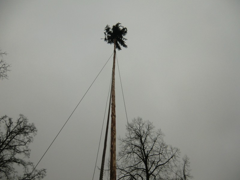 ../Images/2015-02-17_Grundele-Fasnachtsdienstig_028.jpg
