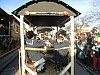2017-02-23_Schmotzige-Dunnstig_077.jpg