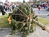 2017-02-23_Schmotzige-Dunnstig_178.jpg