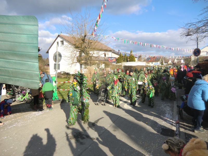 2018-02-04_Seenarrenumzug-Kaltbrunn_024.jpg