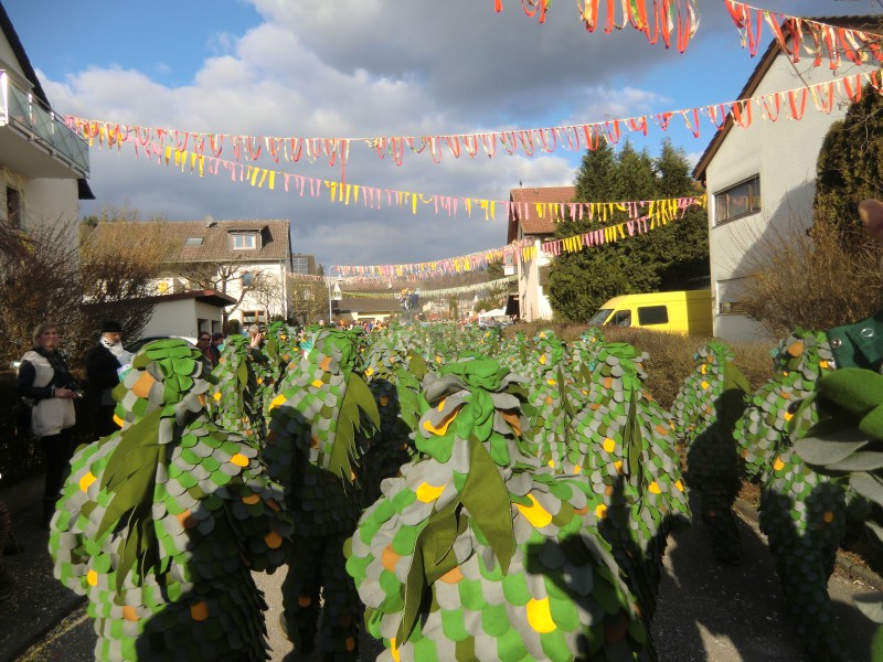 2018-02-04_Seenarrenumzug-Kaltbrunn_035.jpg