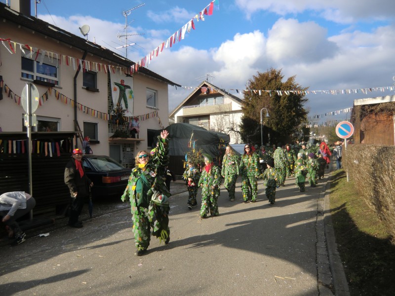 2018-02-04_Seenarrenumzug-Kaltbrunn_054.jpg