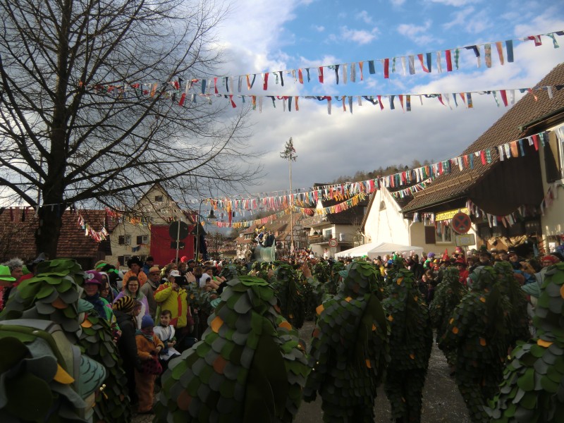 2018-02-04_Seenarrenumzug-Kaltbrunn_081.jpg