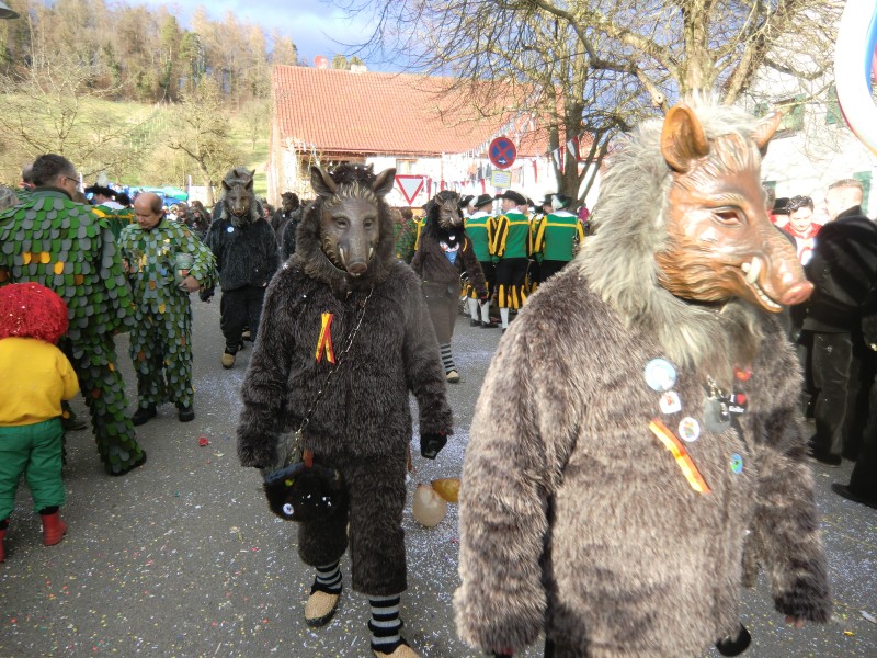 2018-02-04_Seenarrenumzug-Kaltbrunn_099.jpg