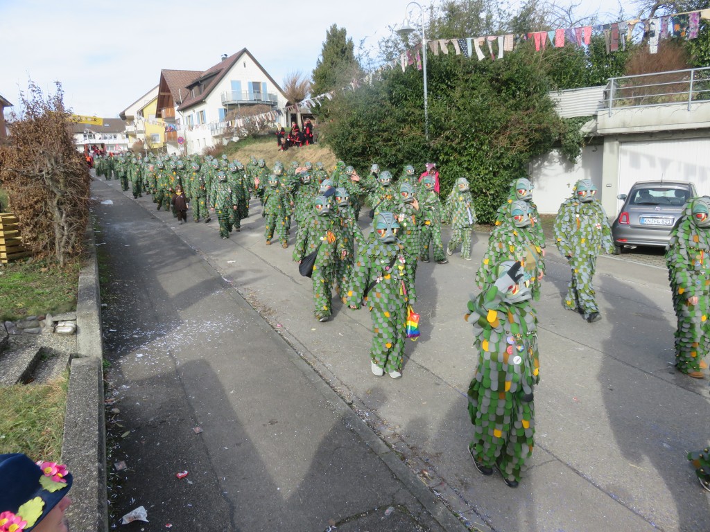 2024-01-04_Seenarrentreffen-Allensbach_020.jpg