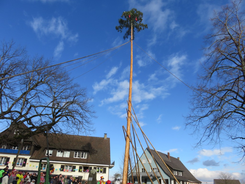 20250227_Schmotzige-Dunnstig_217.jpg