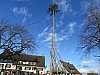 20250227_Schmotzige-Dunnstig_217.jpg