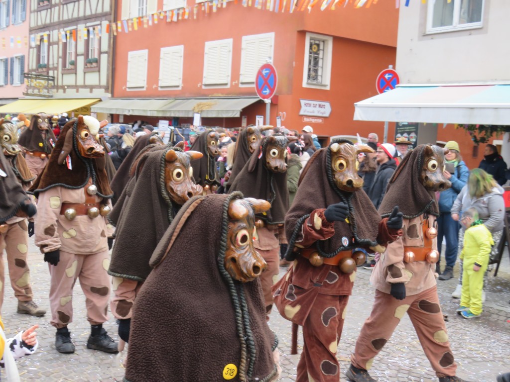20260208_Umzug-Grundele-Meersburg_003.jpg