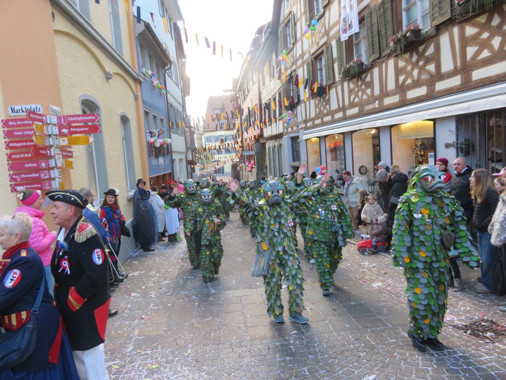 20260208_Umzug-Grundele-Meersburg_074.jpg
