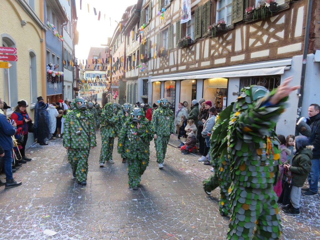 20260208_Umzug-Grundele-Meersburg_082.jpg