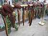 20260208_Umzug-Grundele-Meersburg_018.jpg