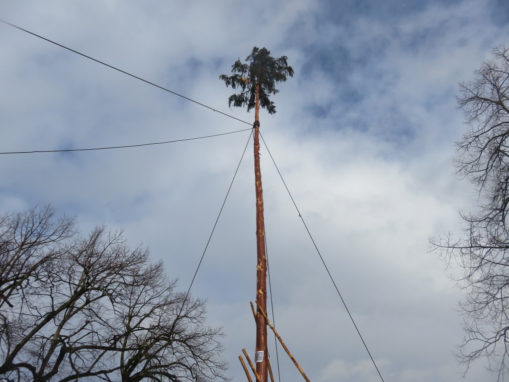 20260212_Schmotzige-Dunnstig_328.jpg